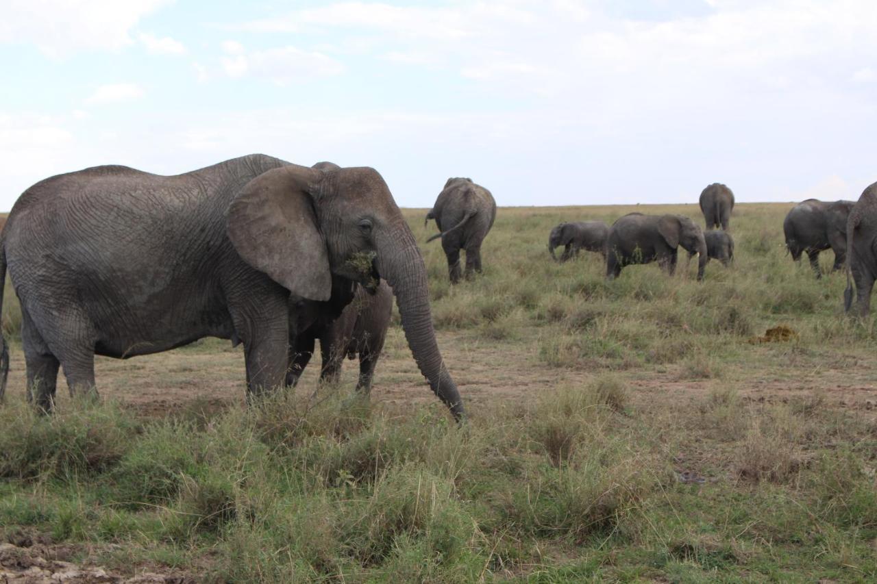 Mapito Tented Camp Serengeti Ngoại thất bức ảnh