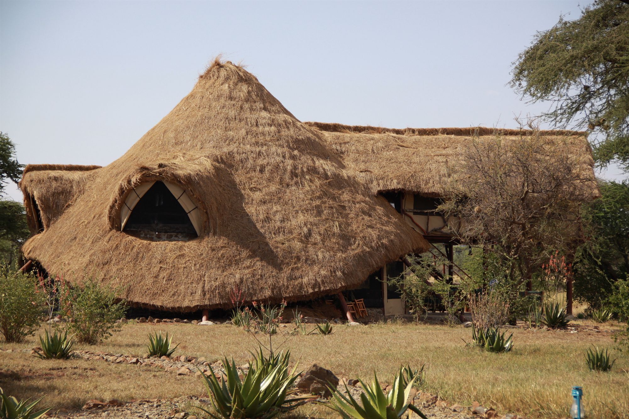 Mapito Tented Camp Serengeti Ngoại thất bức ảnh