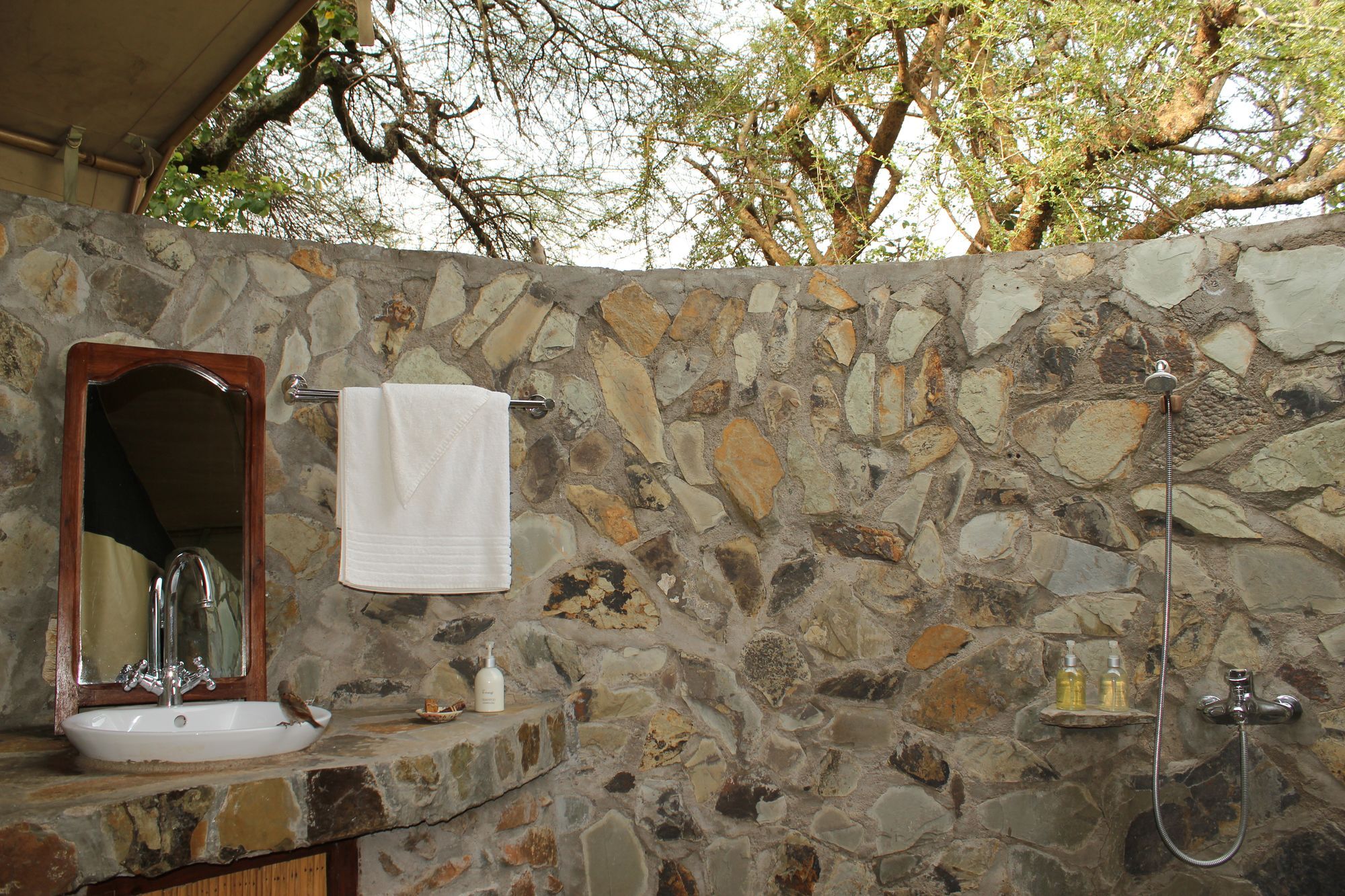Mapito Tented Camp Serengeti Ngoại thất bức ảnh